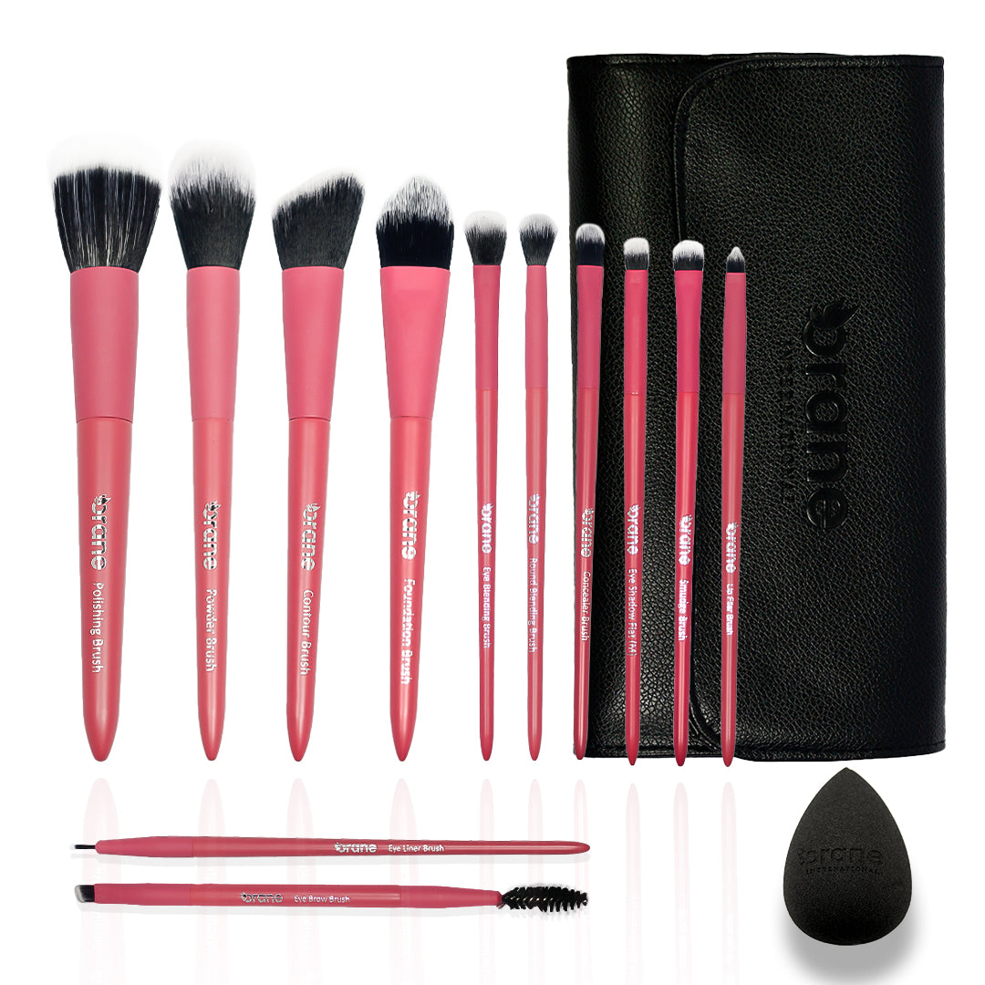 Make Up Brush Kit