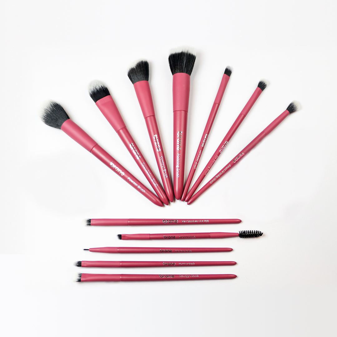 Make Up Brush Kit